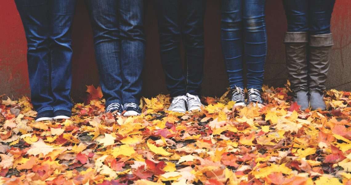 Denim Fabrics